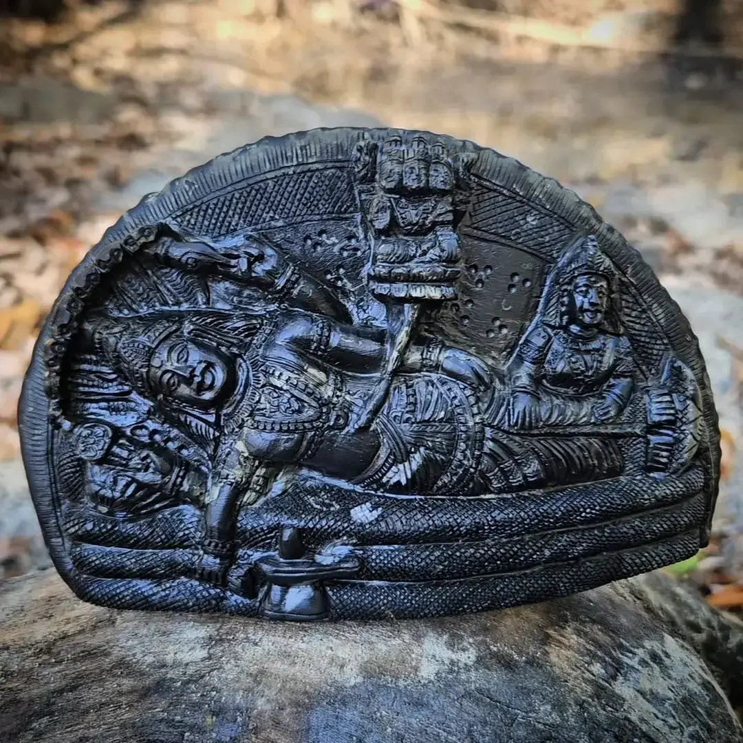 Padmanabha Swamy Shaligram Murti — view 4