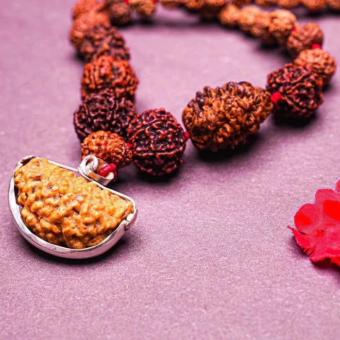 Siddha Mala | 1–14 Mukhi Nepali Rudraksha with 1 Mukhi Sawar — Nepal photo 6