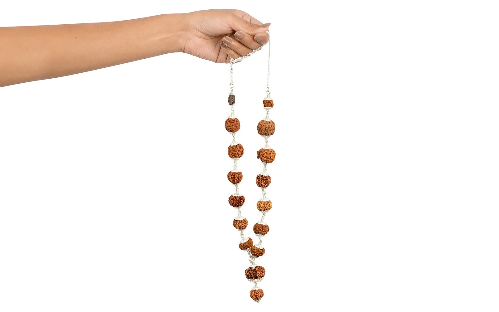 Siddha Mala | 1–14 Mukhi Nepali Rudraksha with 1 Mukhi Sawar — Nepal photo 5