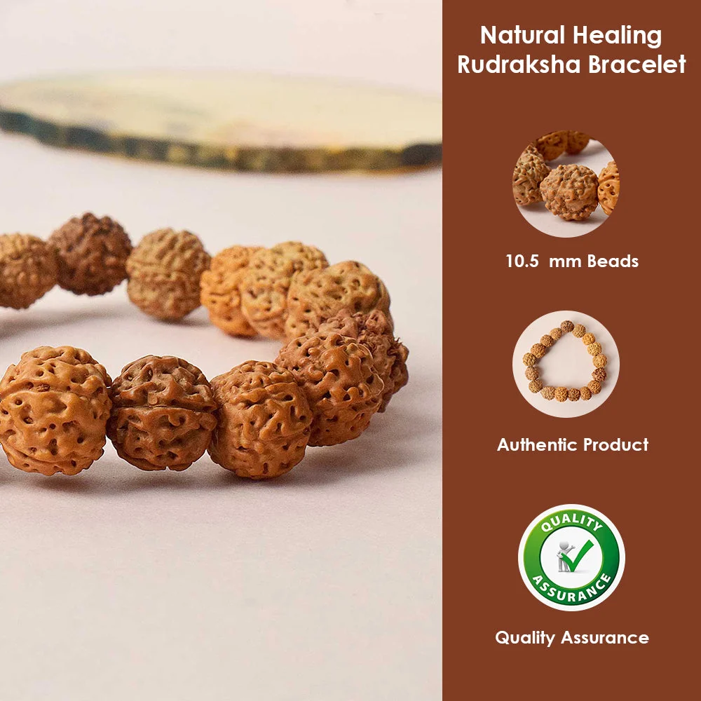 Natural Rudraksha Bracelet — view 2