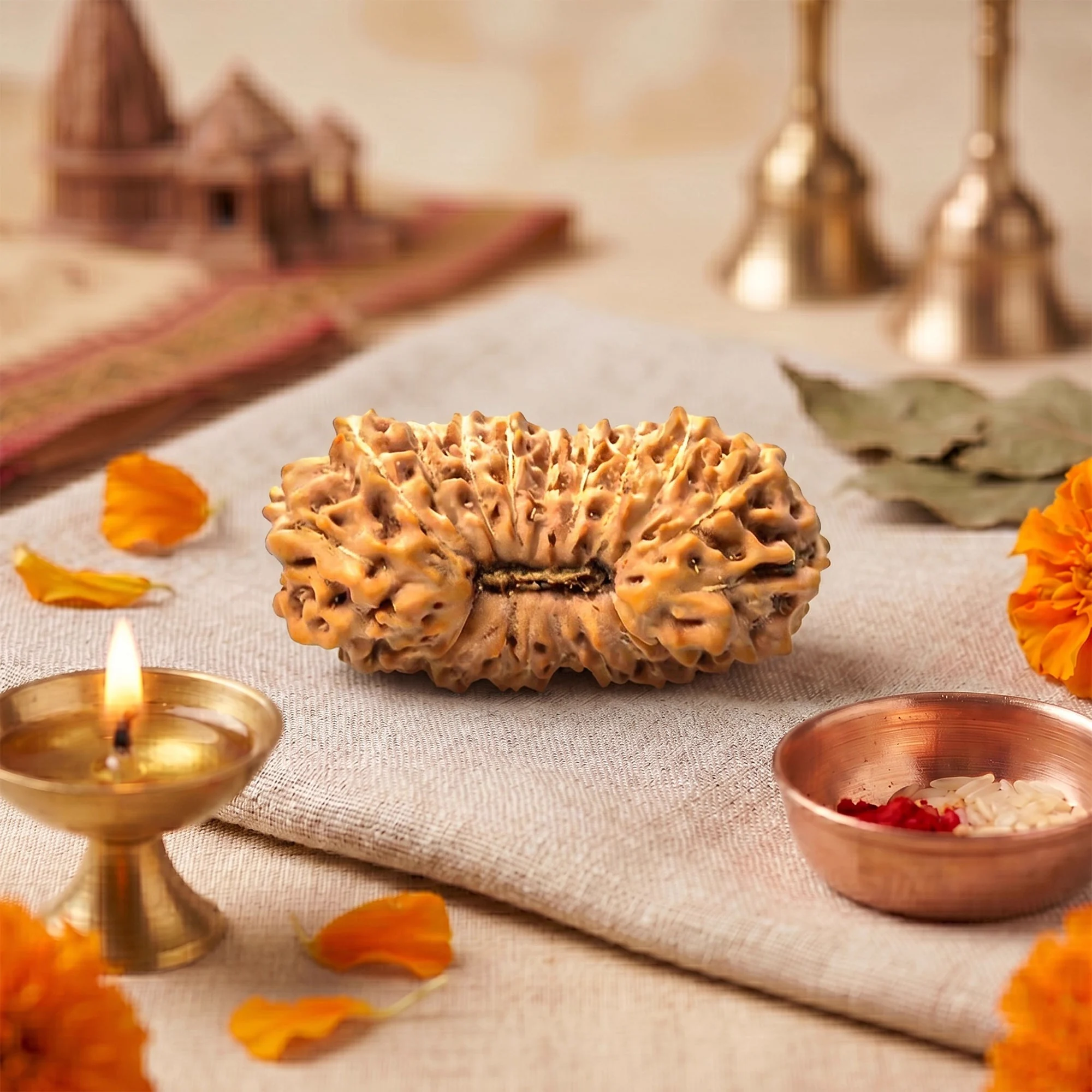 23 Mukhi Rudraksha – Original Indonesian (Java) Collector Bead — Indonesia photo 3