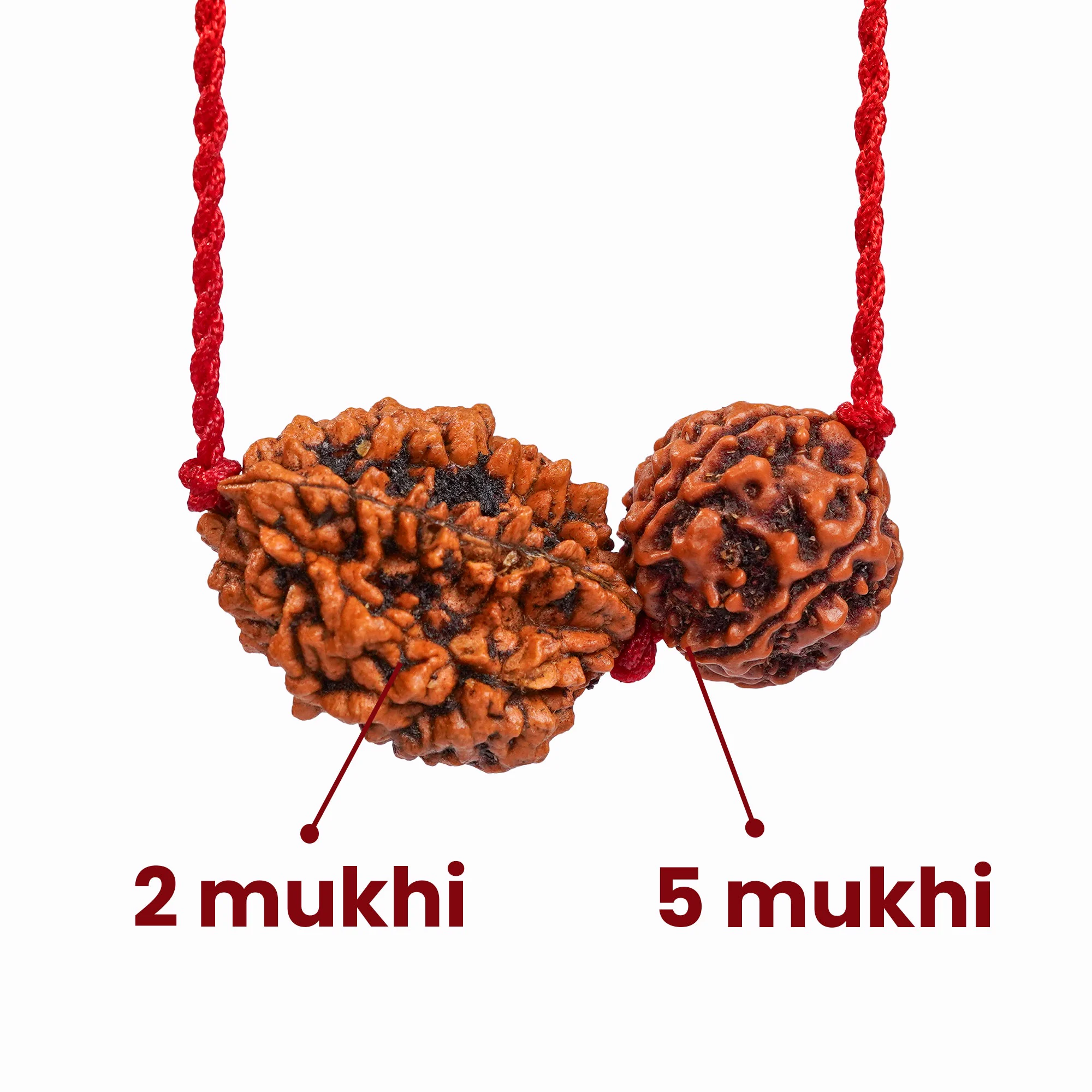 Cancer Zodiac Rudraksha Kavach — Nepal photo 3