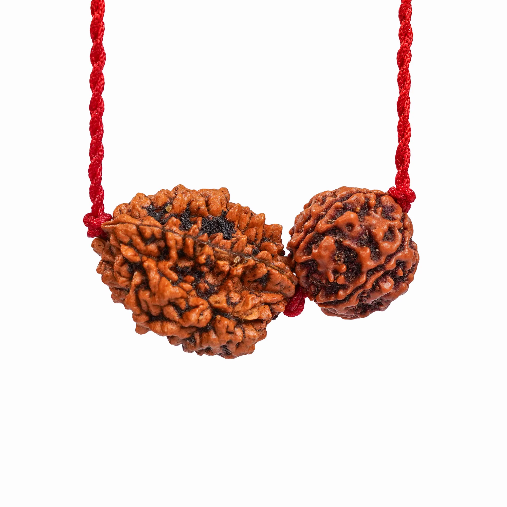 Cancer Zodiac Rudraksha Kavach — Nepal photo 2