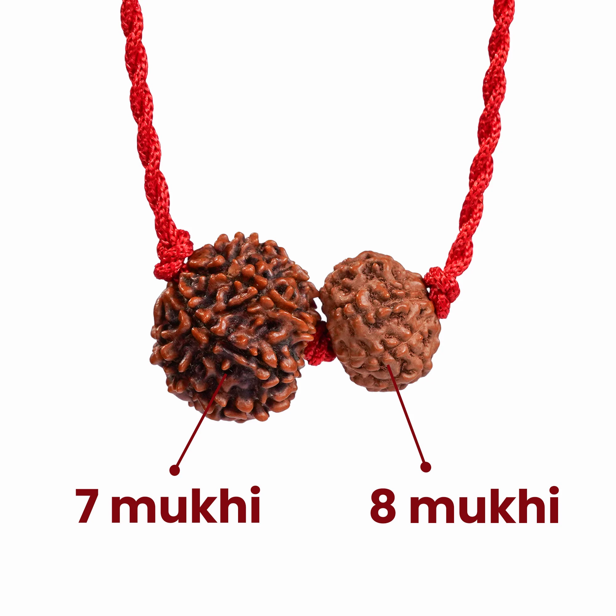 Aquarius Zodiac Rudraksha Kavach — Nepal photo 3