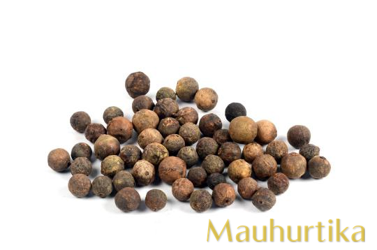 Rudraksha Fruits (Nepal) – Natural Dried Set — Nepal photo 3