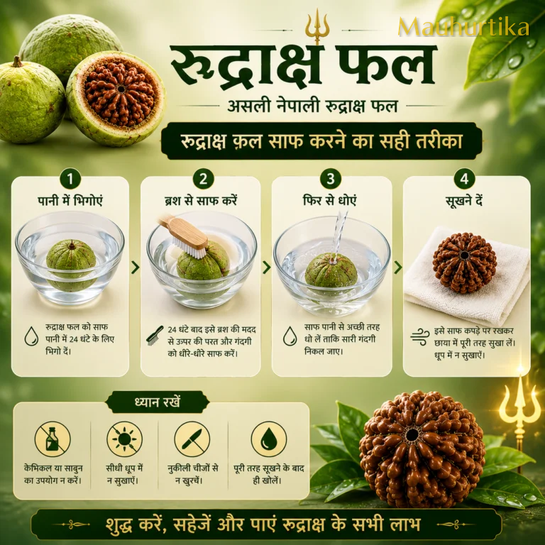 Rudraksha Fruits (Nepal) – Natural Dried Set — Nepal photo 4